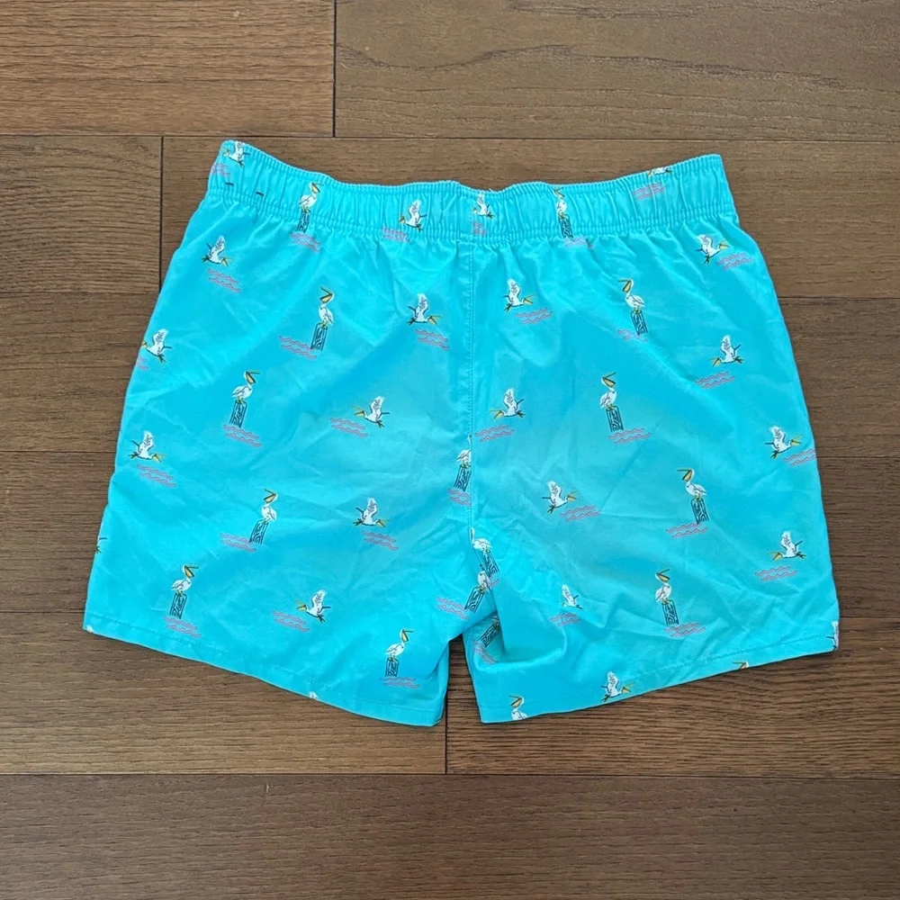 Hollister Turquoise Pelican Print Swim Trunks